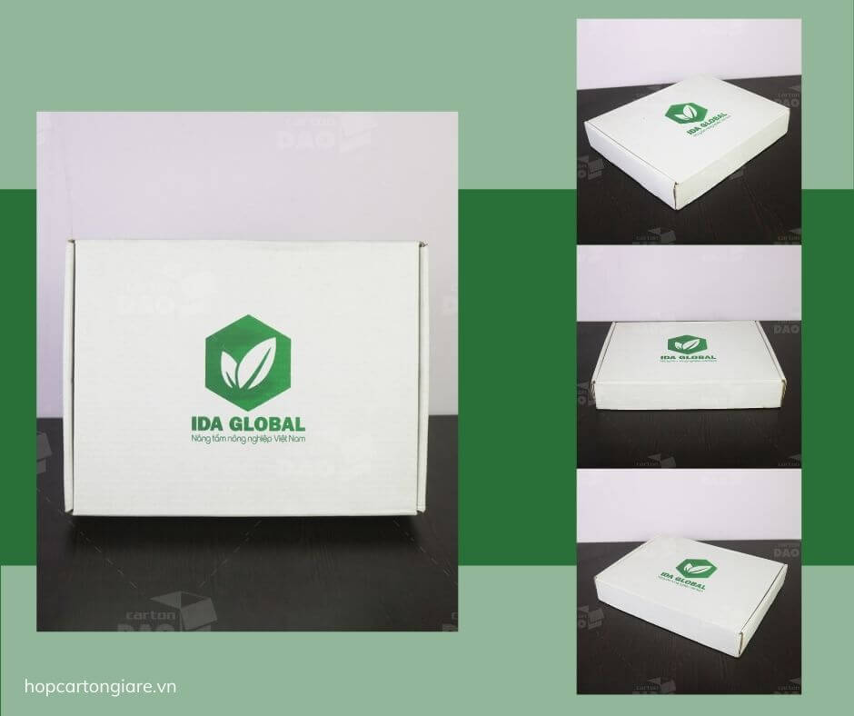 Mẫu hộp carton nắp gài in logo ida global