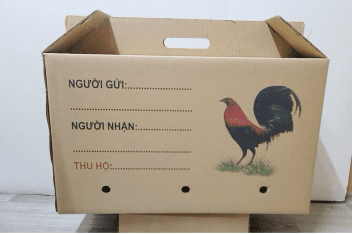 In thùng carton đựng gà 