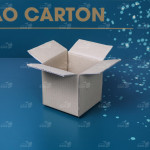 Hộp carton 10x10x10 cm
