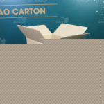 Hộp carton 20x17x20 cm 