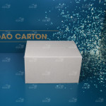 Hộp carrton 30x22x17 cm