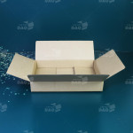 Hộp carton 30x20x5 cm