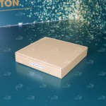 Hộp carton nắp gài 21x21x4 cm đựng pizza