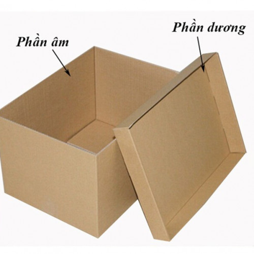 Hộp carton âm dương là gì? Đặc điểm và ứng dụng loại hộp này 