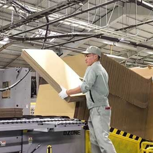 Dây chuyền sản xuất thùng carton tiêu chuẩn tại Đào Carton