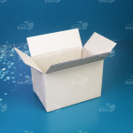 Hộp carton 15x10x10 cm