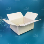 Hộp carton 20x17x9 cm