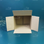 Hộp carton 20x17x20 cm 