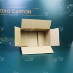 Hộp carton 22x13x10 cm 
