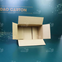 Hộp carton 22x13x10 cm 