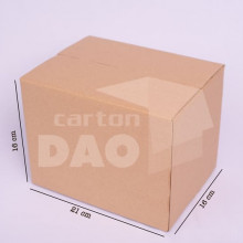 Hộp carton 21x16x16 cm
