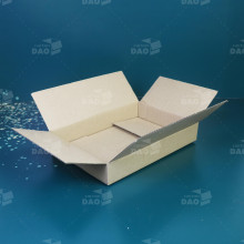 Hộp carton 30x20x5 cm