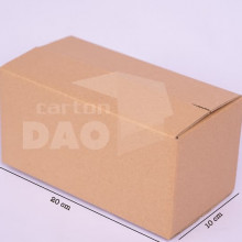 Hộp carton 20x10x10 cm