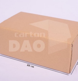 Hộp carton 25x15x10 cm 