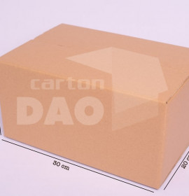 Thùng carton 30x20x15 cm