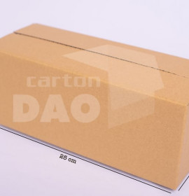 Hộp carton 25x10x10 cm