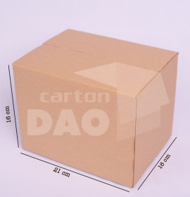 Hộp carton 21x16x16 cm 