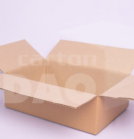 Hộp carton 30x20x10 cm