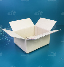 Hộp carton 20x17x9 cm