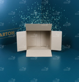Hộp carton 25x20x15 cm