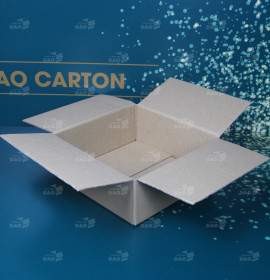 Hộp carton 25x25x10 cm