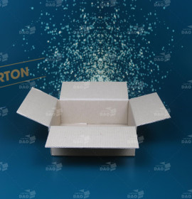 Hộp carton 30x15x15 cm