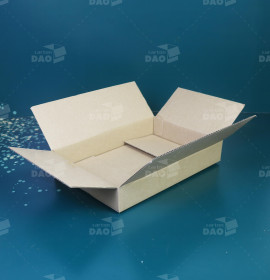 Hộp carton 30x20x5 cm