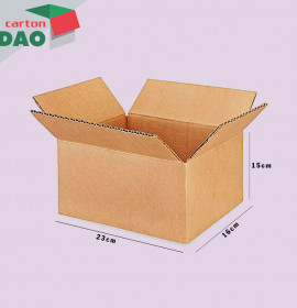 Hộp carton 23x16x15 cm