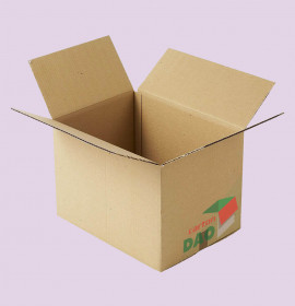 Hộp carton 30x22x17 cm