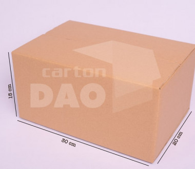 Thùng carton 30x20x15 cm