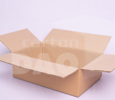 Hộp carton 30x20x10 cm