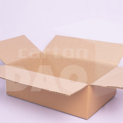 Hộp carton 30x20x10 cm