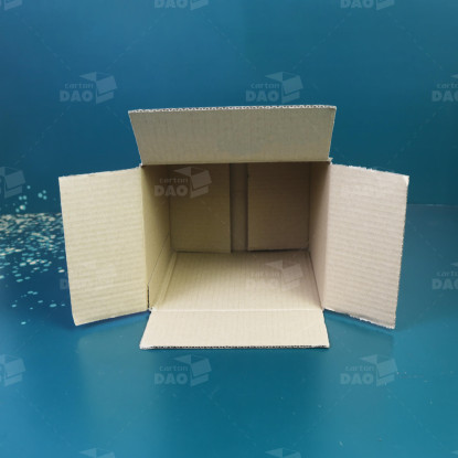 Hộp carton 20x17x20 cm 